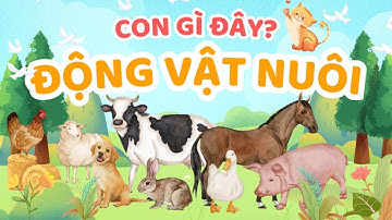 Con Gì Đây? Bé Học Tên Các Con Vật Nuôi Qua Tiếng Kêu – Mèo, Chó, Bò, Gà, Heo, Vịt, Ngựa, Cừu, Dê…