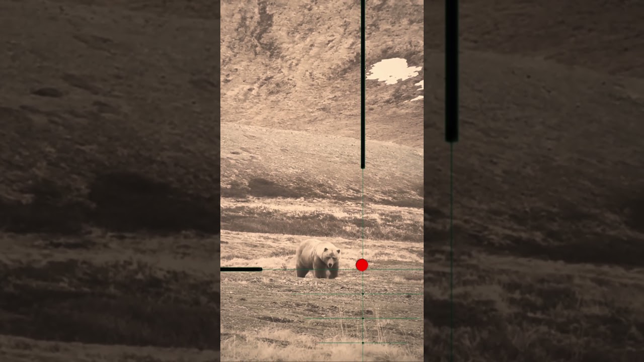 Охота на медведей | Орсо | Наш | Пиво | Осо