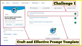 Famous Craft an Effective Prompt Template | Service Agent Customization with Prompt Builder | Challenge 1 Wealth
