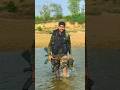 ODISHA POLICE 🚨🚓 || IRB Commando 🥷🥷 #shorts #commando #odishapolice #viral #dream #journey