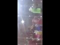 بلقاسم قيزاني ربوخ عرس في صراء ورتان الكاف بلقاسم قيزاني ربوخ عرس في صراء ورتان الكاف