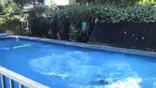 Pool Fun 2010
