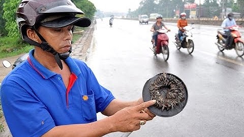 Clip: Tái bùng phát nạn “đinh tặc” trên Quốc lộ 1A