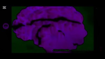 fish hooks transformation horror version