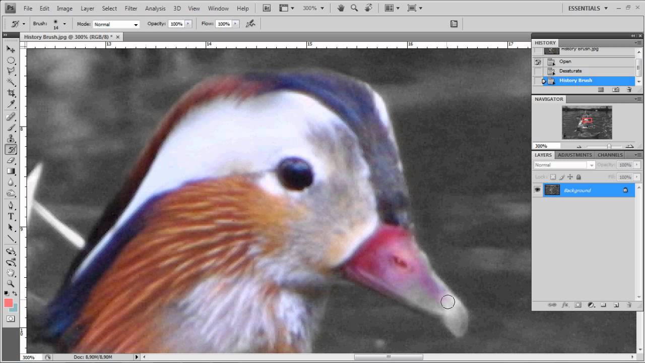 History Brush in Photoshop