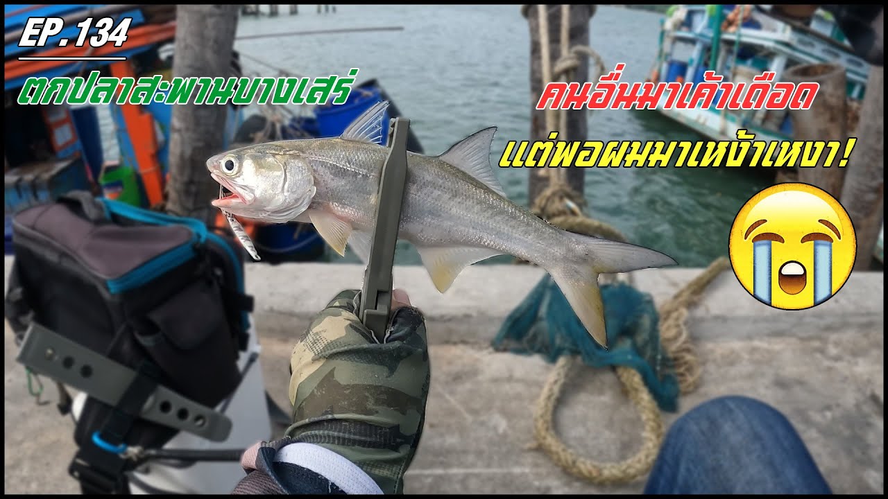 EP.134 ตกปลาสะพานบางเสร่ คนอื่นมาเค้าเดือด พอเรามาเหง้าเหงา!