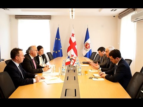 შს მინისტრი საქართველოში საფრანგეთის ელჩს შეხვდა