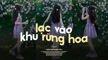 𝐏𝐥𝐚𝐲𝐥𝐢𝐬𝐭 lạc vào khu rừng hoa ♫ Nắng Ấm Trong Tim ♫ Tuyển Tập Nhạc Lofi Chill TikTok Nhẹ Nhàng