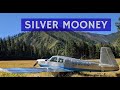 How to Paint Strip and Polish an Airplane (on an Average Budget)