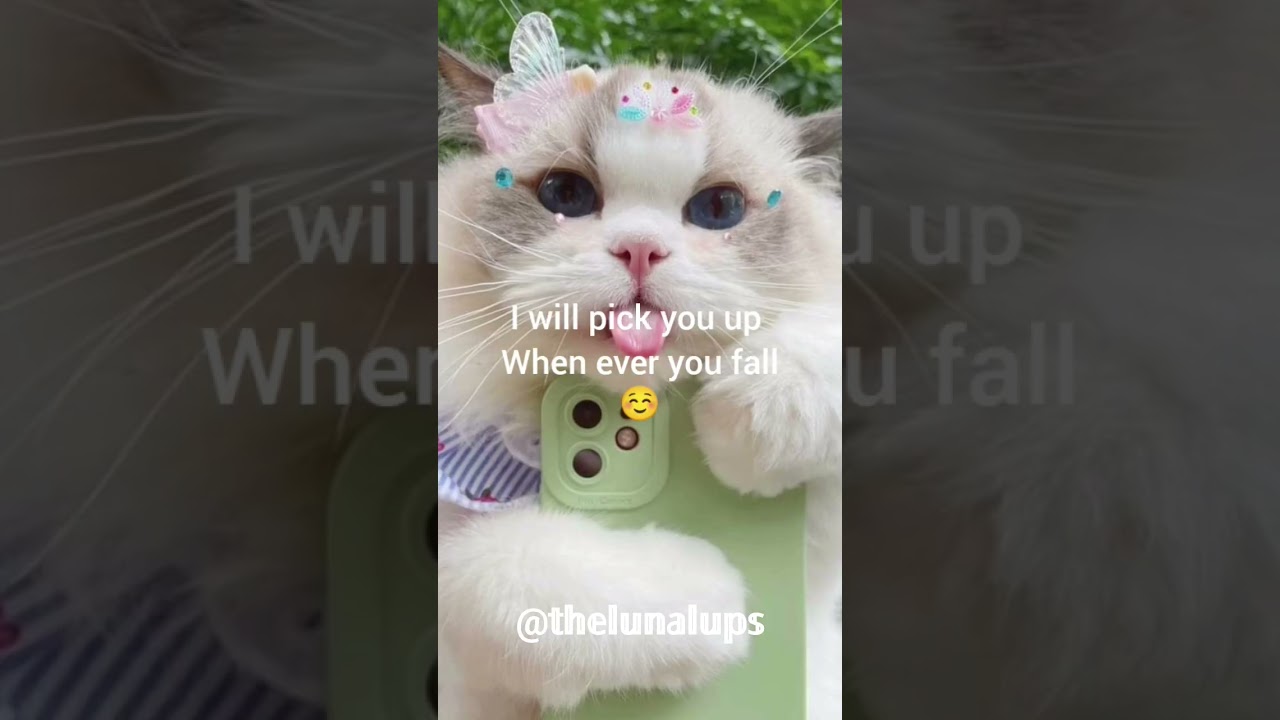 send this to your best friend!!!