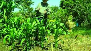 MVI_5746.AVI
