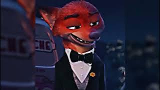 𝙎𝙇𝙀𝙀𝙋𝙄𝙉𝙂 𝘾𝙄𝙏𝙔 𝙁𝙐𝙉𝙆 | 𝙕𝙊𝙊𝙏𝙊𝙋𝙄𝘼