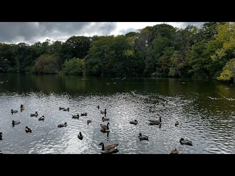 New York LIVE Exploring Stony Brook Village, Suffolk County, Long Island (October 12, 2021)