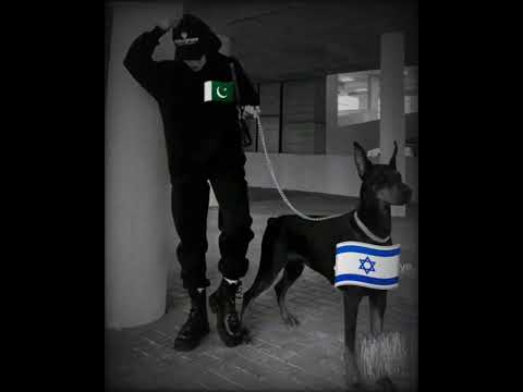 Pakistan  vs Isreal #attitudestatus #fav #anime #edit