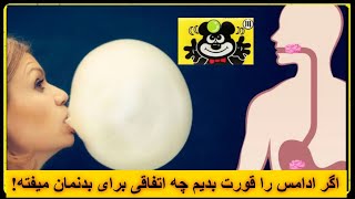 اگر ادامس را قورت بدیم چه اتفاقی برای بدنمان میفته!