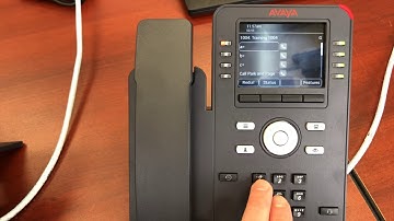 Call Park and Page Avaya IP Office