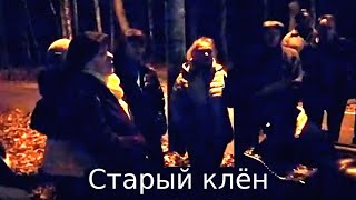 "Старый клён" песня под гармонь