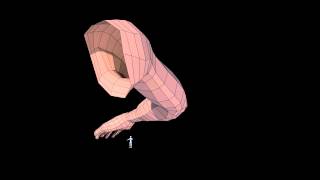 Arm modeliastion Wireframe