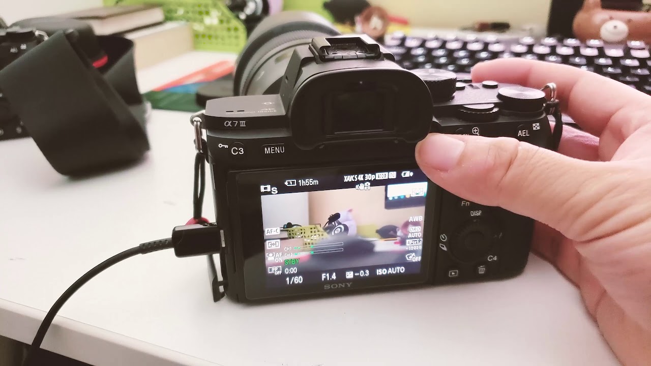 alias Lover og forskrifter Måne Charging Sony A7 III & A7R3 While Recording Video To Extend Battery Life  (It's Possible!) - YouTube