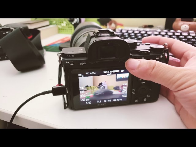 Charging Sony A7 III & A7R3 While Recording Video To Extend Battery Life  (It's Possible!) - YouTube