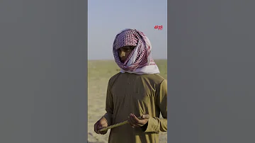 عادات وتقاليد البادية وأحلى شباب 