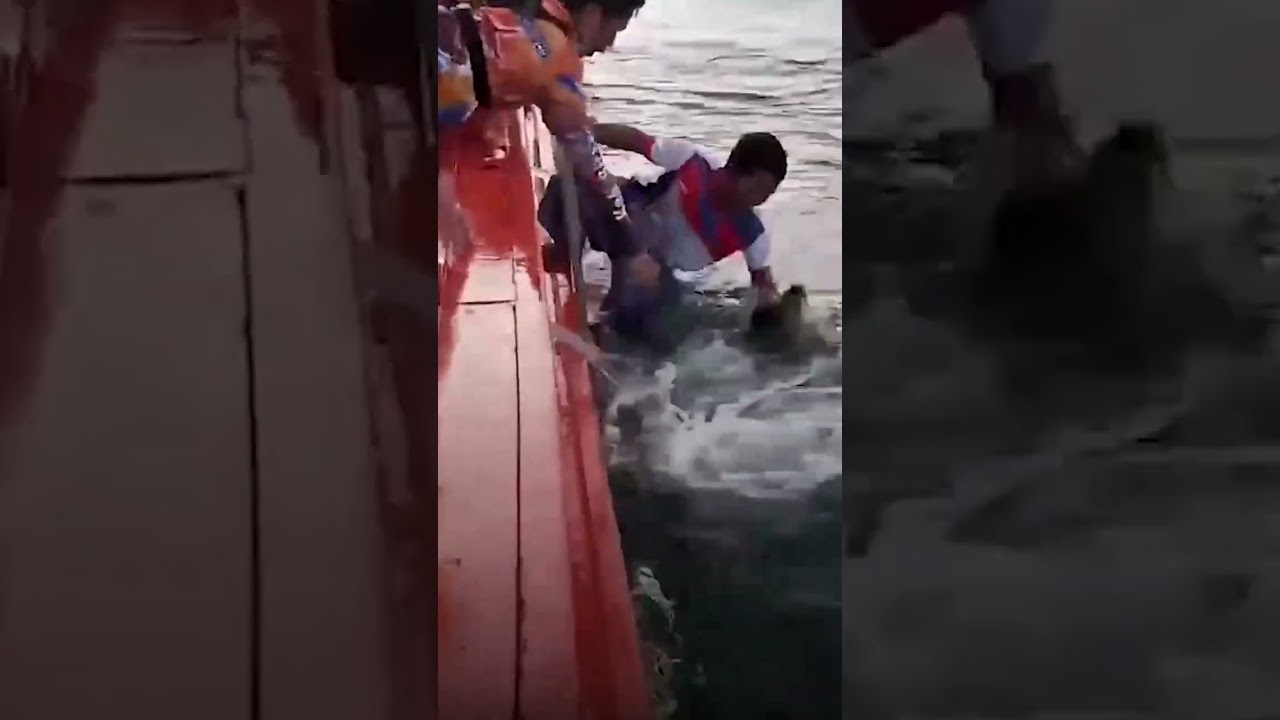 Fishermen Rescue Dog Lost At Sea 🛥️🌊🐕 