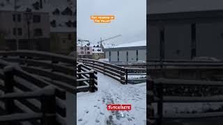 ❄️ Esta mañana en el Valle de Arán ❄️
