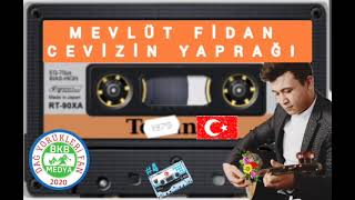 MEVLÜT FİDAN (CEVİZİN YAPRAĞI) Resimi