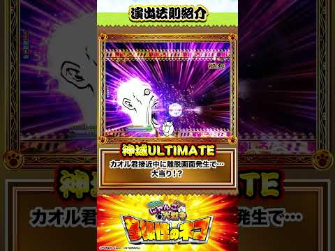 〈P にゃんこ大戦争 多様性のネコ〉【演出法則紹介】⑫SUNRISE JUDGEMENT #パチンコ #Pにゃんこ大戦争 #shorts