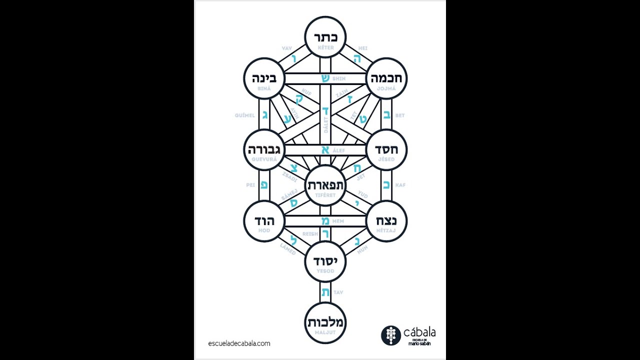 El Árbol de la Vida: conócete y ocúpate de tí mismo. - YouTube