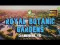 Australian Garden - Royal Botanic Gardens - Cranbourne, VIC