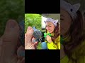 КОГДА ТЫ СЛУЧАЙНО ЧТО ТО СЪЕЛ А ПЕРЕД СТОМАТОЛОГОМ жиза семья есения Eseniya мама ржака КОГДА ТЫ СЛУЧАЙНО ЧТО ТО СЪЕЛ А ПЕРЕД СТОМАТОЛОГОМ жиза семья есения Eseniya мама ржака