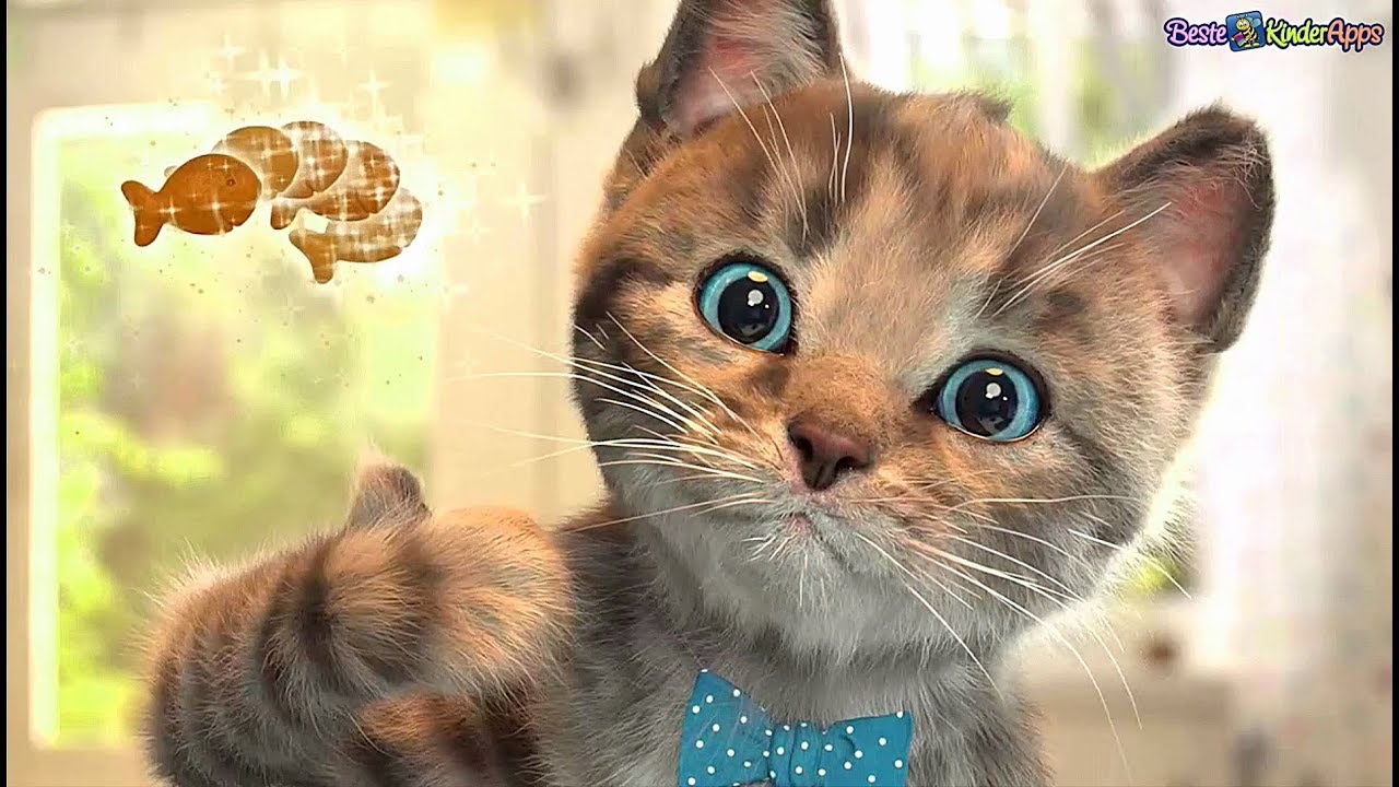 Update New NEU ⭐️ Kleines Kätzchen unterwegs ⭐️ Fox Sheep Spiel ⭐️ Beste Kinder Apps