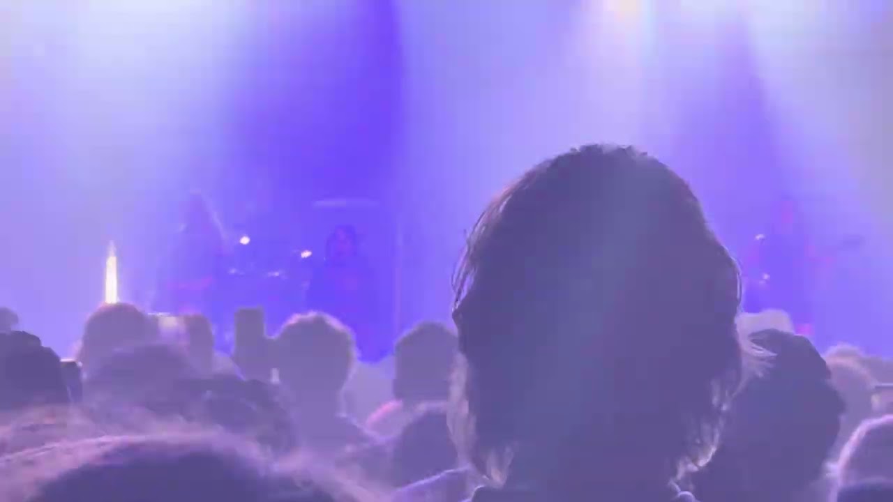 buzzkill - Lyn Lapid