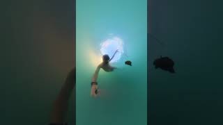 Freediver Encounters Sea Hare Swimming at Sunset