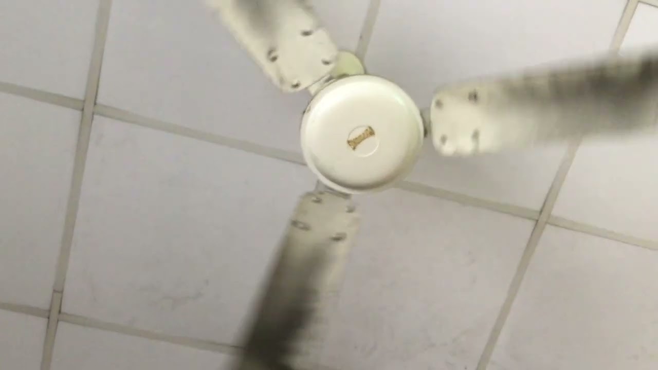 Ceiling fan Asia vina vs ceiling fan My phong model J56003 &MP1400