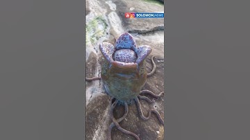 Amazing Sci-Fi Scene Render | New Simulon | NOT Real | iPhone Realistic Render #shorts #simulon