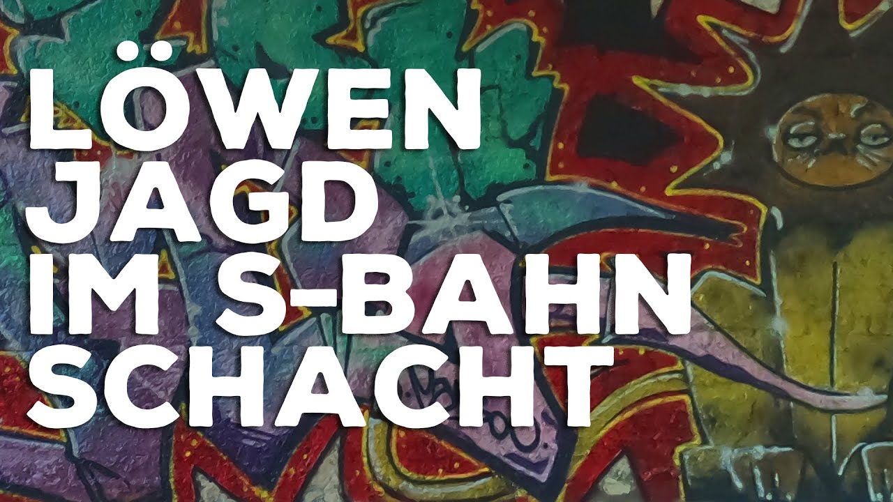 Löwenjagd im S-BAHN Schacht | Graffiti Vlog 016
