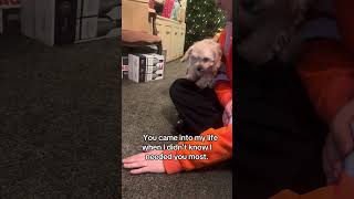 Dogs change your life in so many ways 🥺🥹🩷