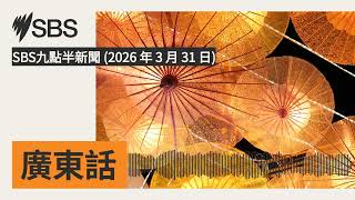 SBS九點半新聞 (2026 年 3 月 31 日) | SBS Cantonese - SBS廣東話節目