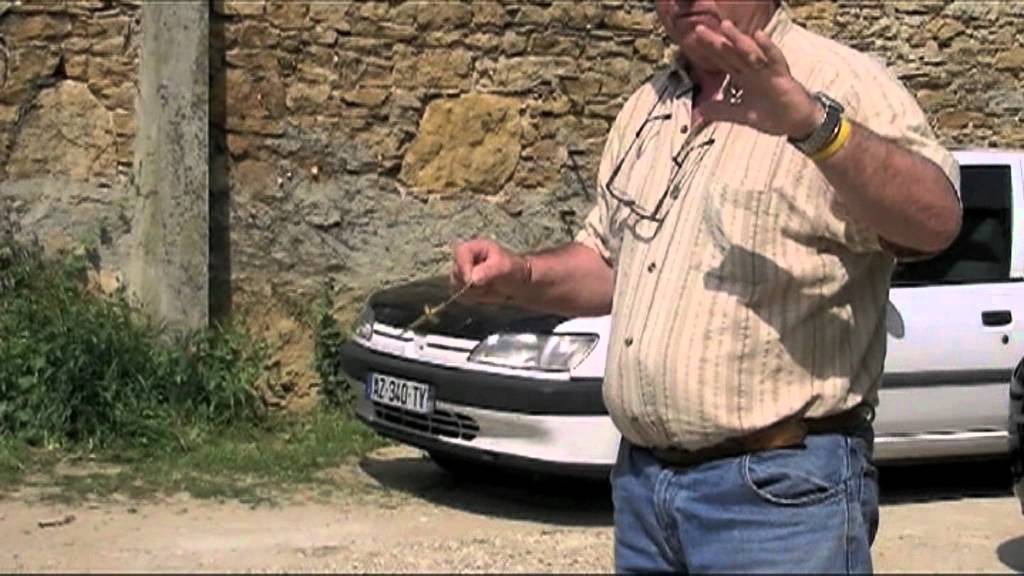 Recherche d'eau - Édouard Vieillard (sourcier)