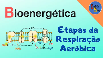 Quais são as etapas da respiração aeróbica e onde ocorrem?