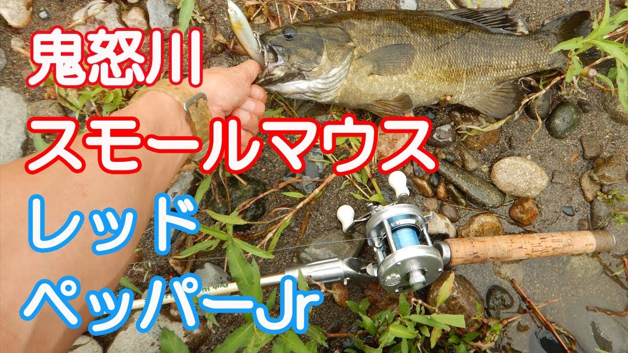 鬼怒川でのバス釣り　スモールマウス。レッドペッパーJrで４１ｃｍ。