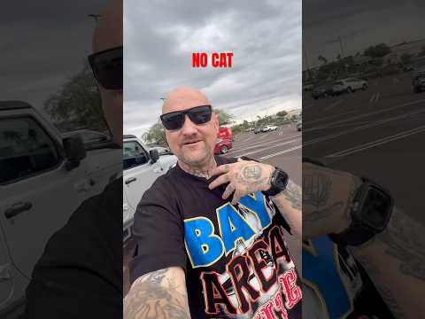 Lost His Catalytic Converter