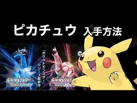 ポケットモンスター ブリリアントダイヤモンド ソード アルセウス ピカチュウ ポケットモンスター ブリリアントダイヤモンド ソード