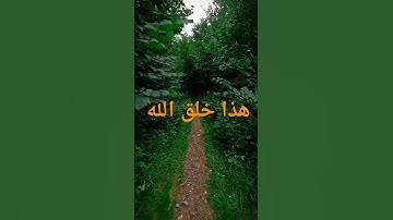 هذا خلق الله #تلاوة_خاشعة #قران_كريم #استمع #quran #اللهم_صل_وسلم_على_نبينا_محمد #تلاوة_خاشعة #لايك