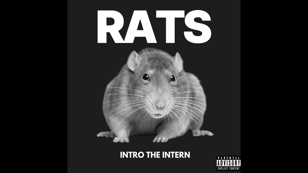 Watch Intro The Intern - Rats on YouTube Watch Intro The Intern - Rats on YouTube