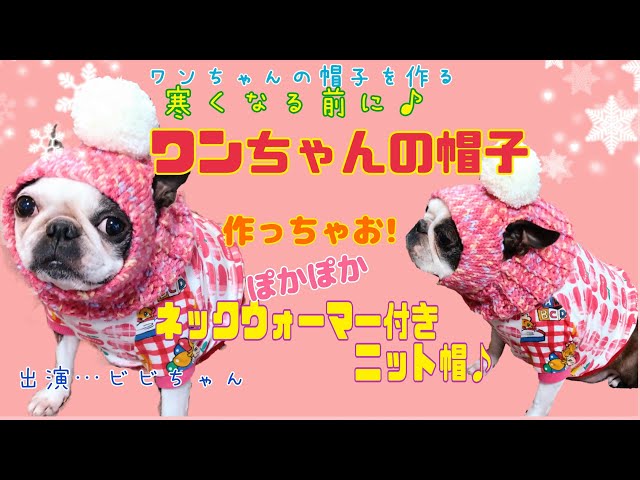これなら簡単！ワンちゃんの帽子を編もう!Part②【かぎ針編み