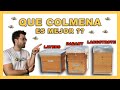 Que COLMENA es MEJOR 🐝🧡🎥 Apicultura para principiantes