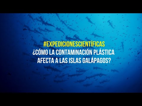 #ExpedicionesCientíficas | ¿Cómo la contaminación plástica afecta a las islas Galápagos?